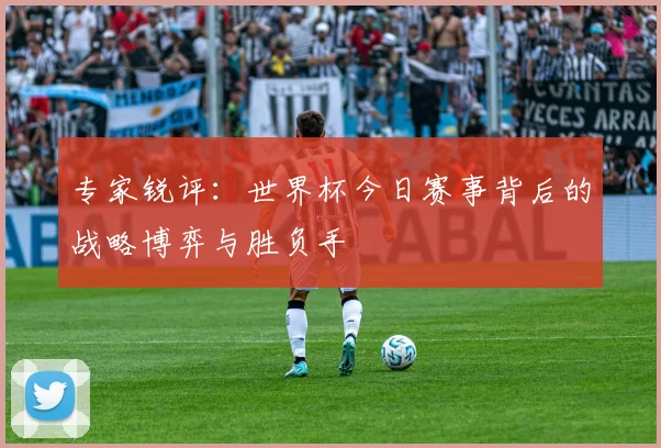 专家锐评：世界杯今日赛事背后的战略博弈与胜负手