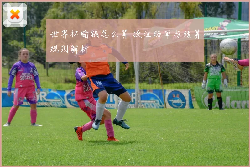 世界杯输钱怎么算 投注赔率与结算规则解析